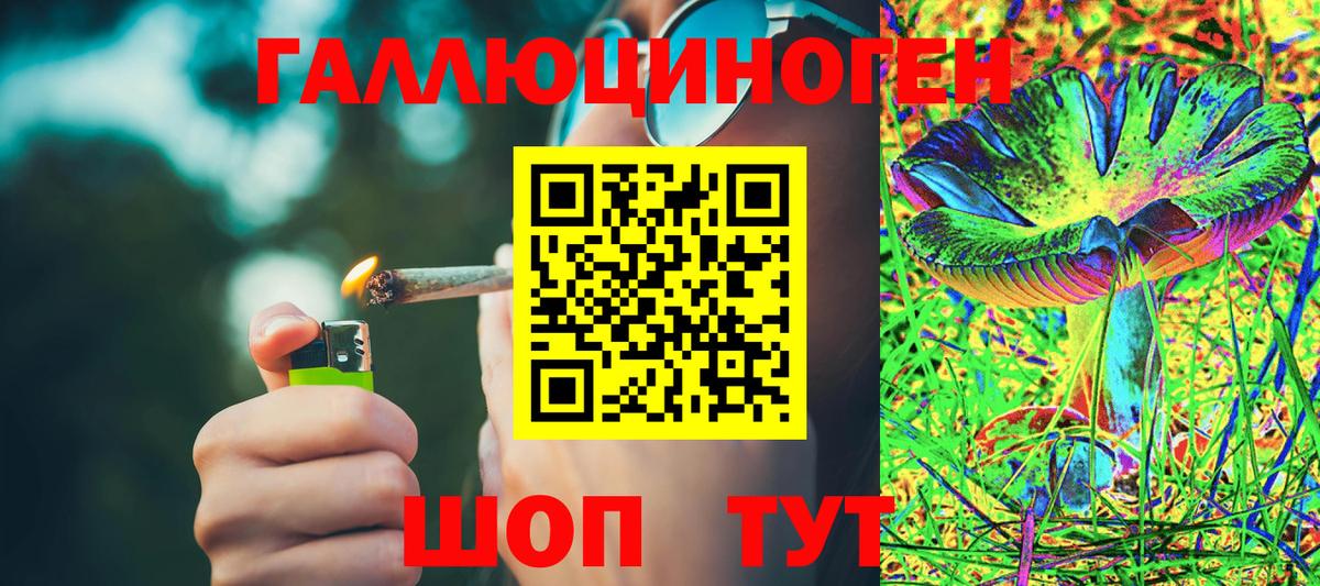 Псилоцибиновые грибы мицелий Назарово